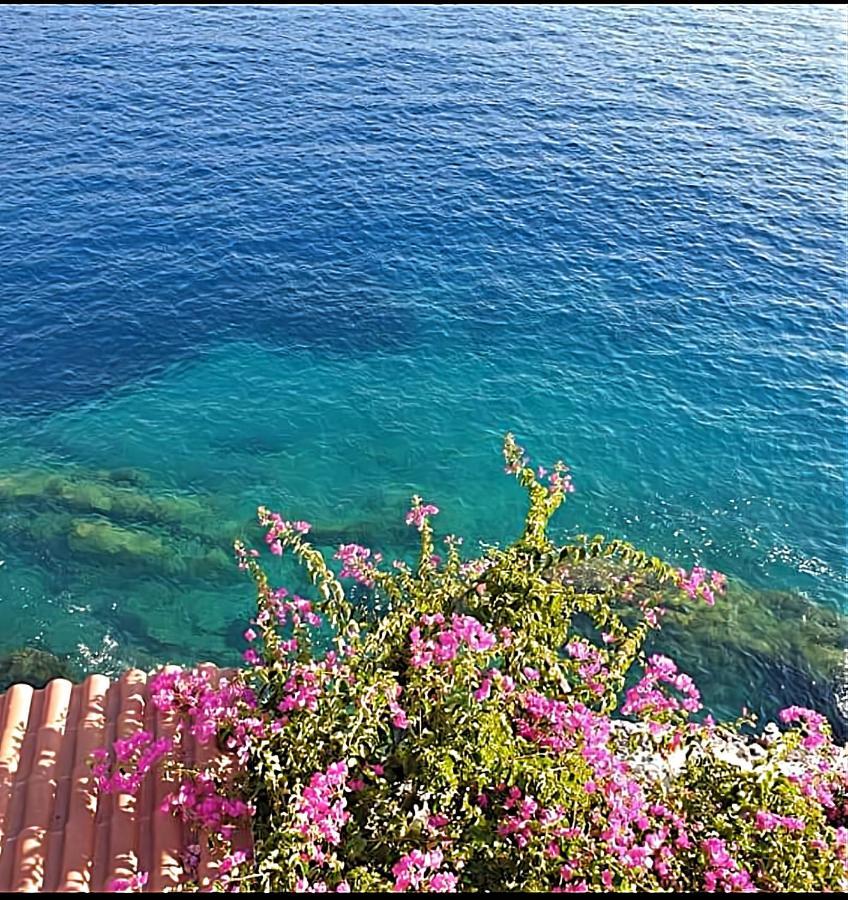 Panorama Apartments Asos Dış mekan fotoğraf